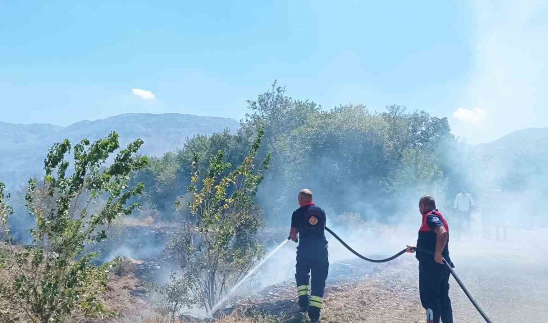 ERZİNCAN’DA AĞAÇLIK ALANDA ÇIKAN