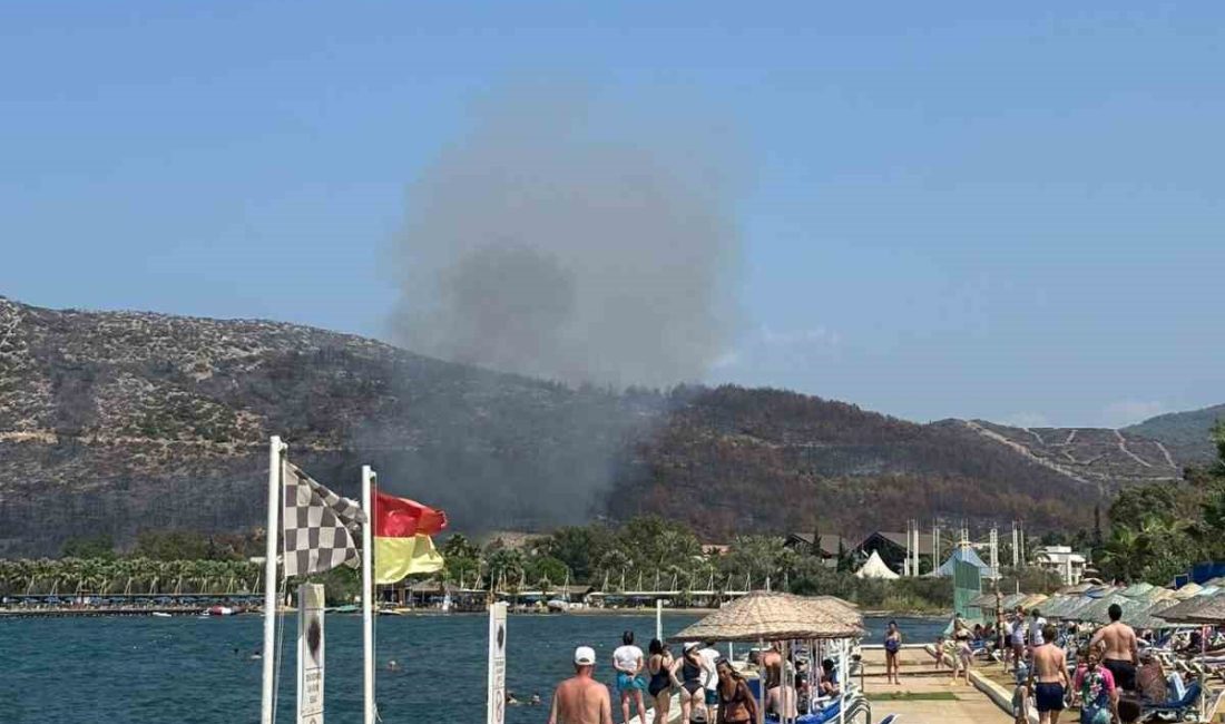 KUŞADASI’NDAKİ ORMAN YANGINI BÜYÜMEDEN