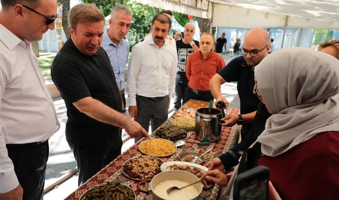 8/24 Erzincan Tanıtım Günleri