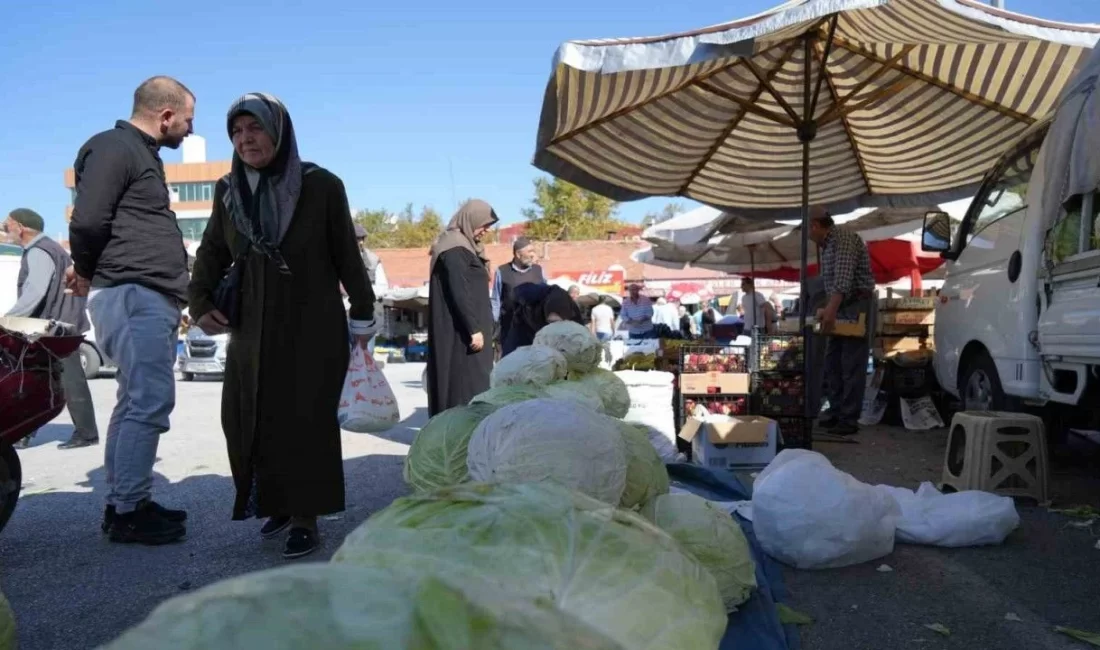 ERZİNCAN’DA TURŞULUK VE YEMEKLİK